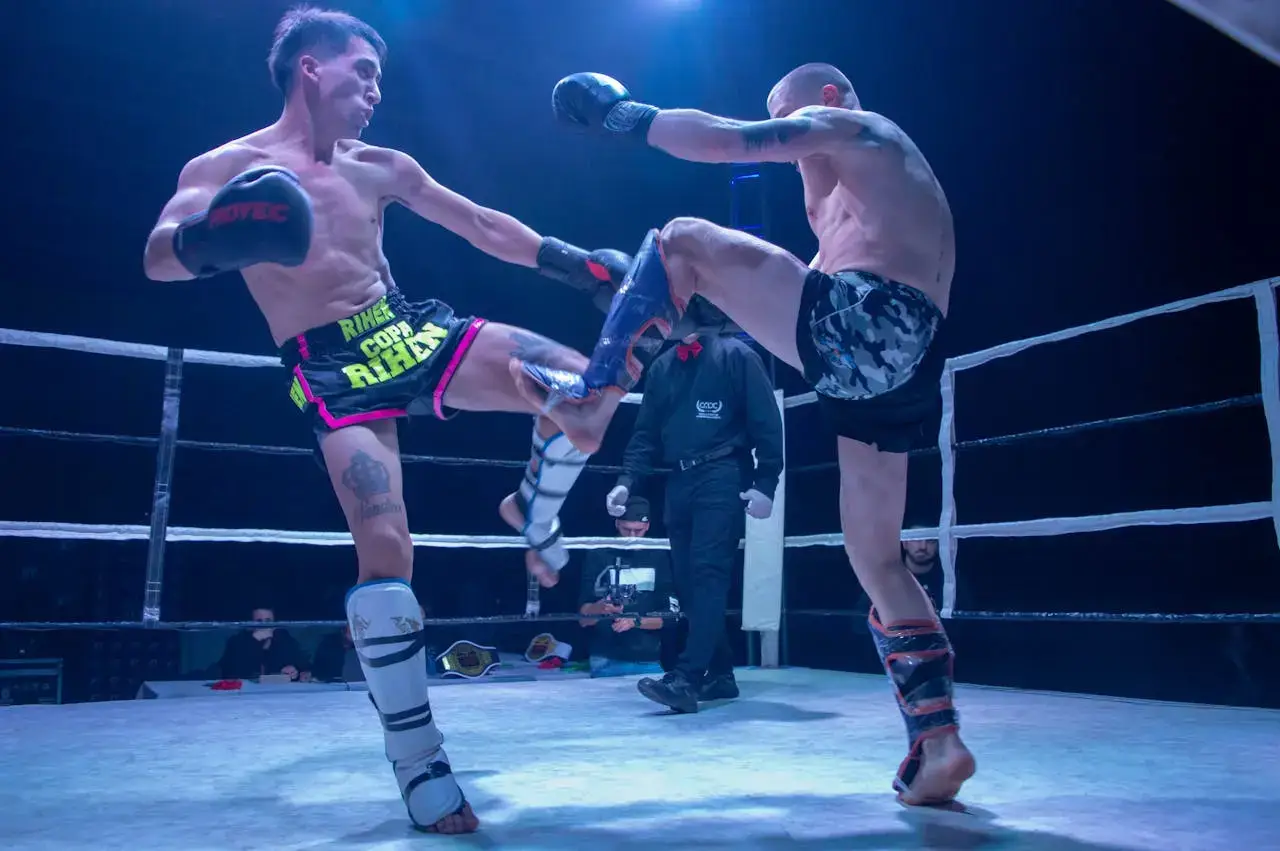 A-Beginners-Guide-to-Mixed-Martial-Arts