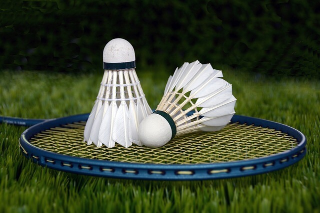 art-of-badminton