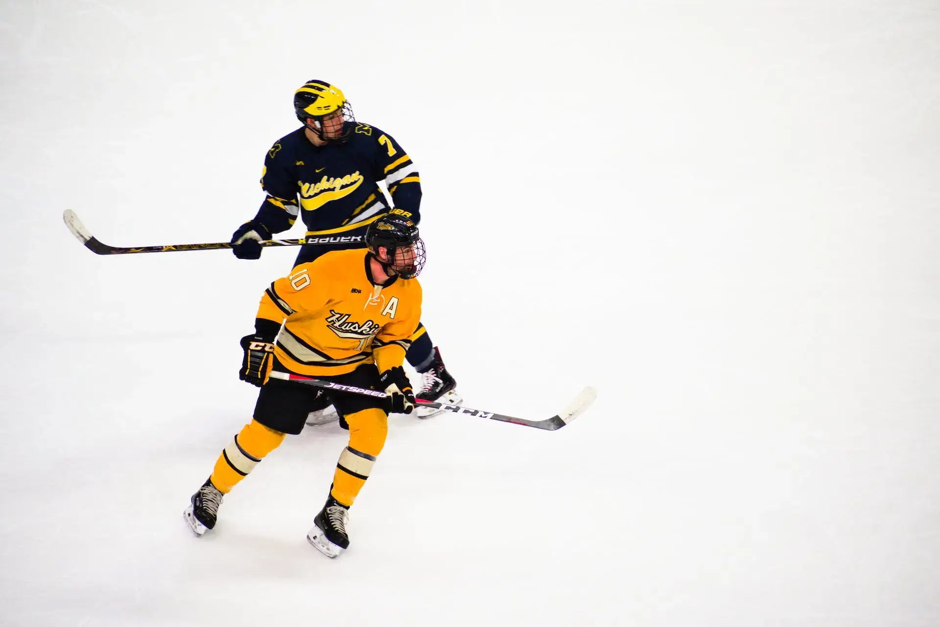 read-more-about-ice-hockey-at-piwi247